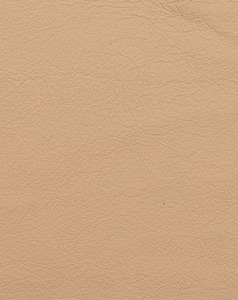 leather sample