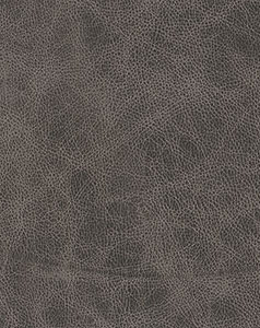leather sample